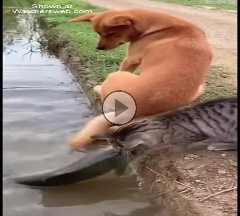 Teamwork