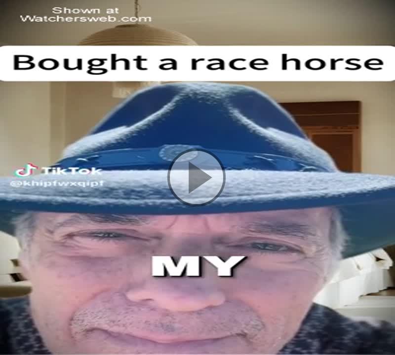 Race Horse
