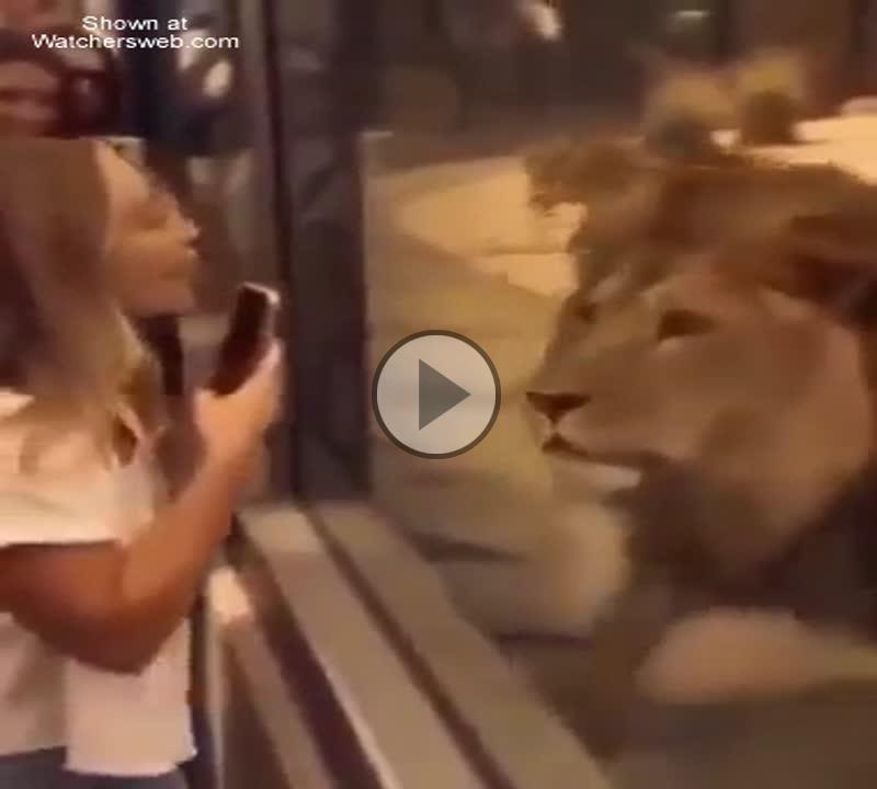 All Women Are The Same