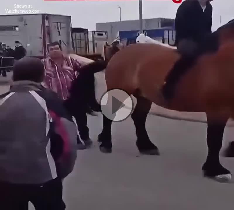 Ain't That A Kick In The Head