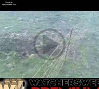 Electric Fence Can Ruin A Good Day