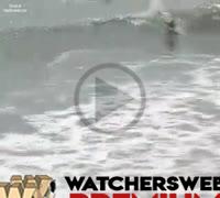 Surfer Does A Kick Flip