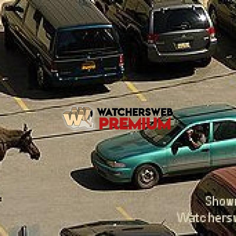 Only In Canada - p - Tom - BC, Canada