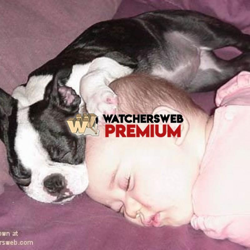 Why God Made Pets #3 - p - Stumper - Canada