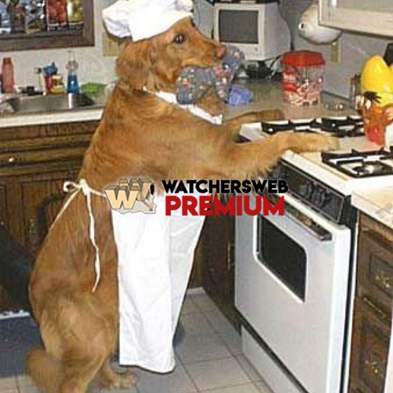 Why God Made Pets #1 - p - Stumper - Canada