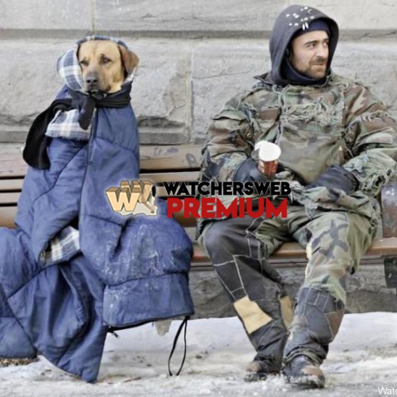 The Homeless - p - Dan Dan