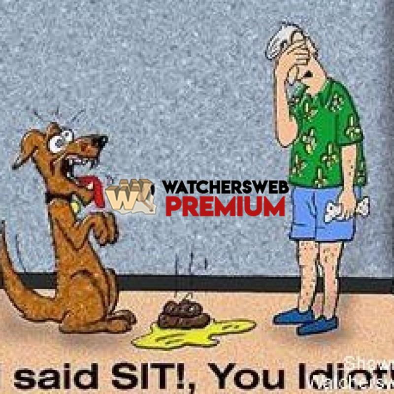 Retarded Dog - c - Stumper - Canada