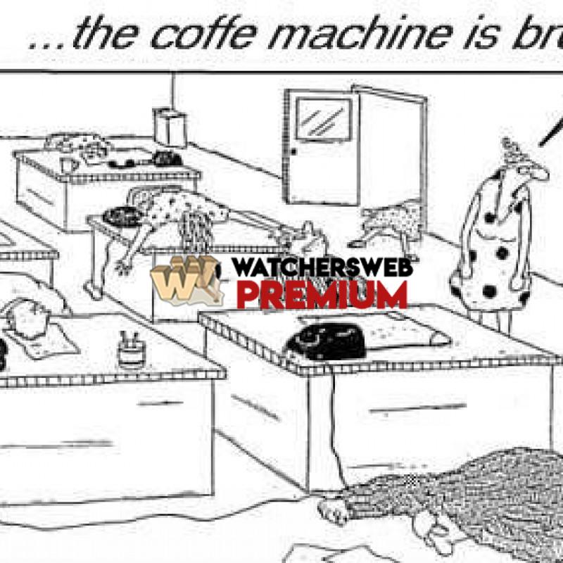 No Coffee - c - Stumper - Canada