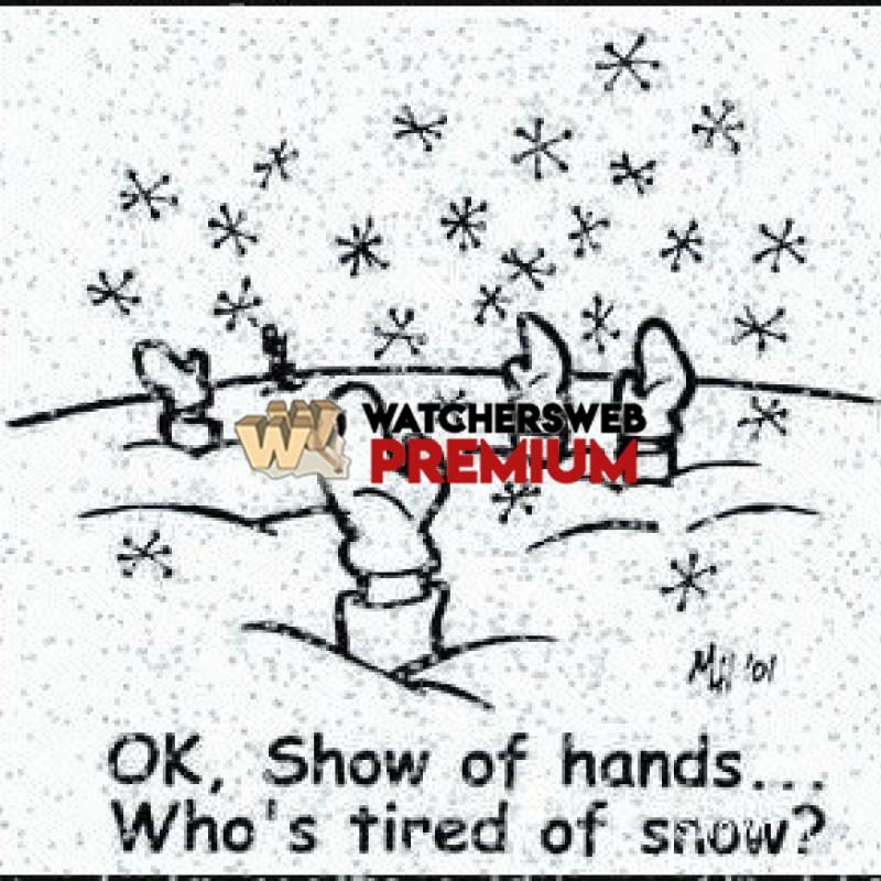 No More Snow - c - Animal