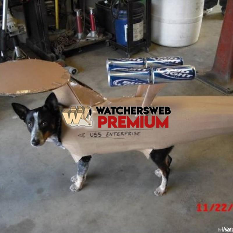 The USS Enterprise - p - Candylea