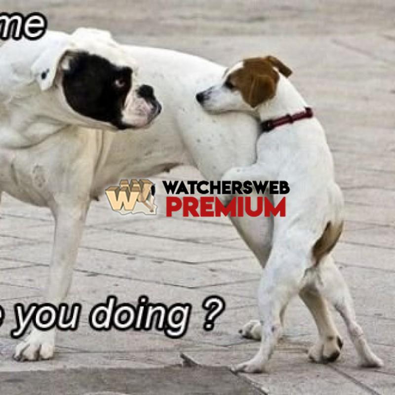 Excuse Me! - p - Candylea