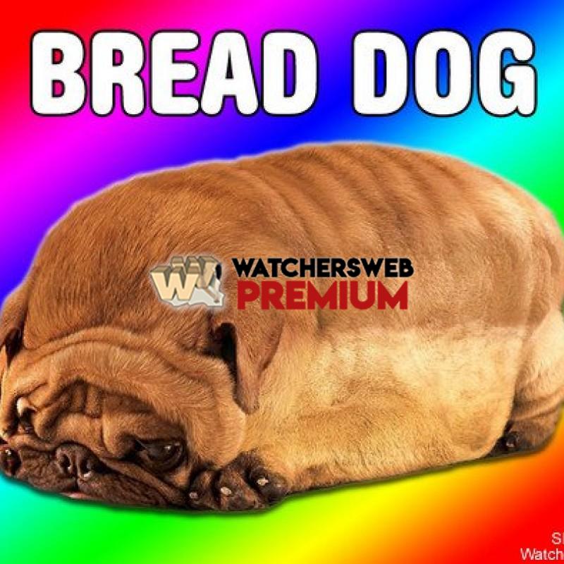 Bread Dog - p - Jermaine