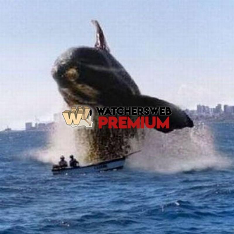 Oh S**t #3 - p - Tom - Canada