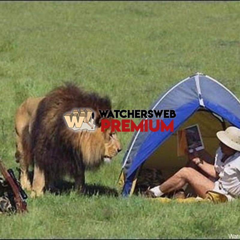 Oh S**t #6 - p - Tom - Canada