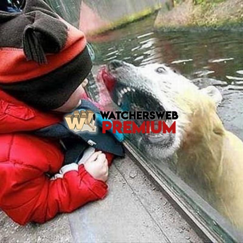 Oh S**t #5 - p - Tom - Canada