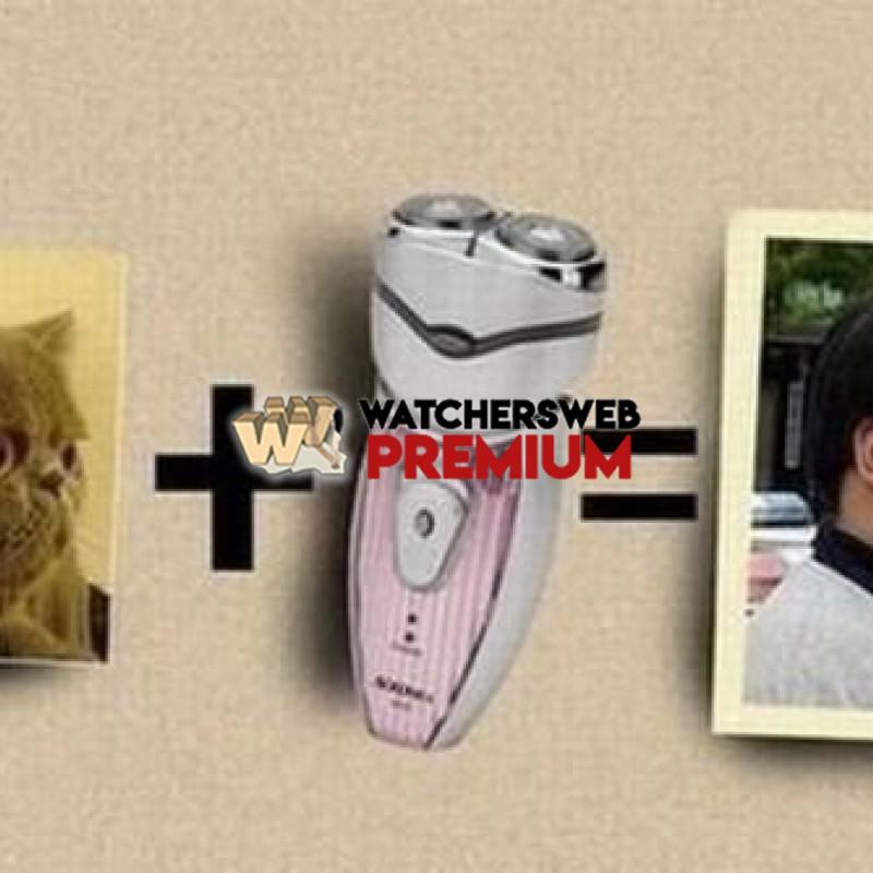 Plus Equals What - c - Candylea