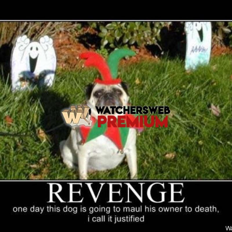 Revenge - p - Candylea