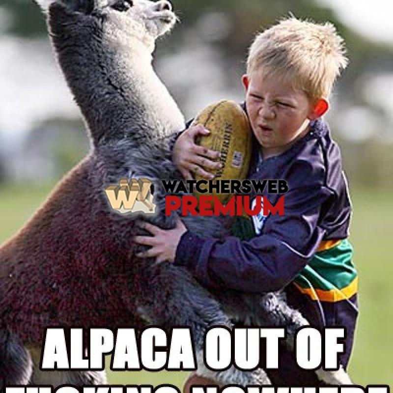 Alpaca Out Of Nowhere - p - Jermaine