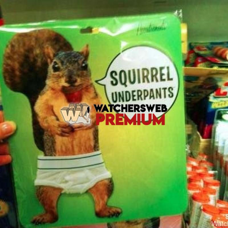 Squirrel Undies - p - Jermaine