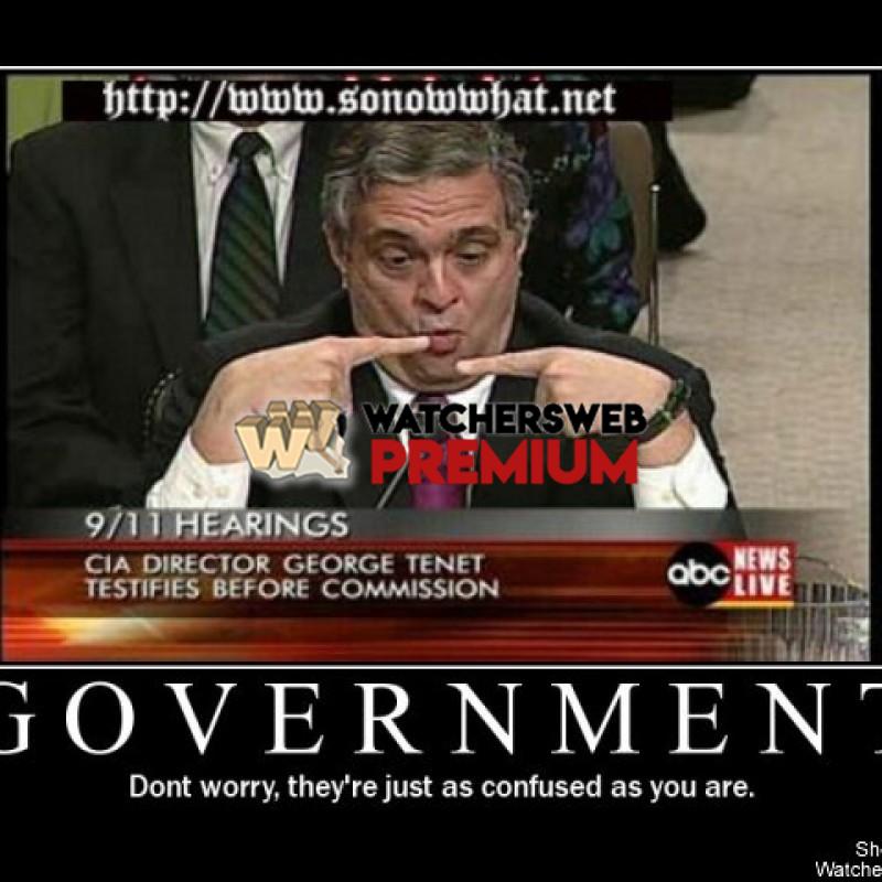 Government Confused - p - Candylea