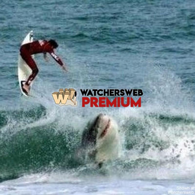 Oh S**t #7 - p - Tom - Canada