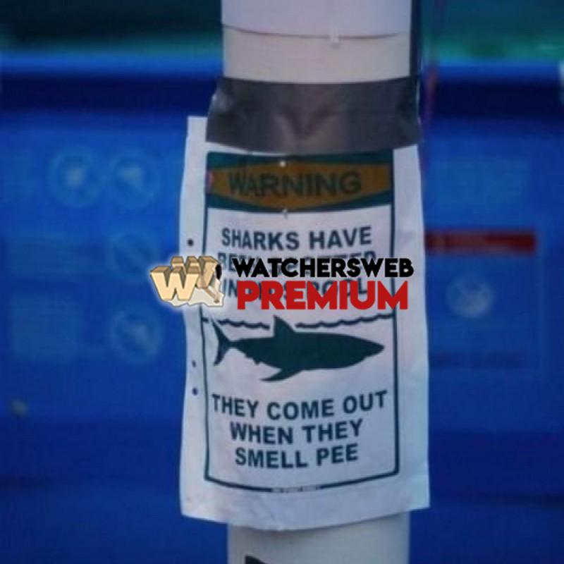 Shark Warning - p - Jermaine