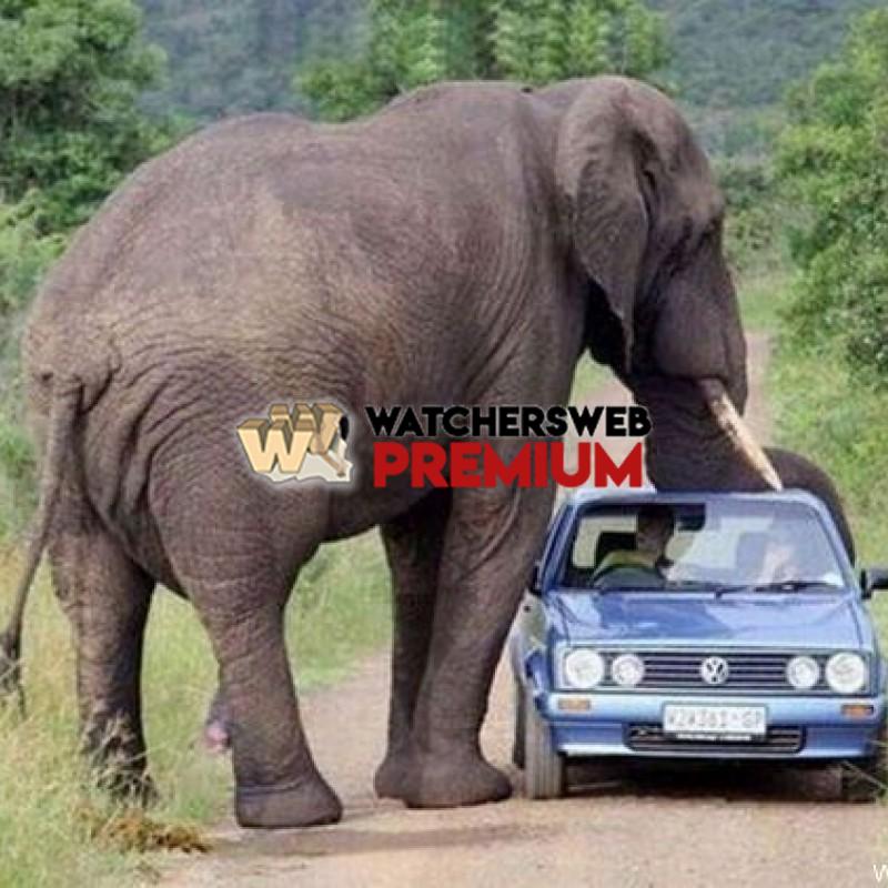 Oh S**t #2 - p - Tom - Canada