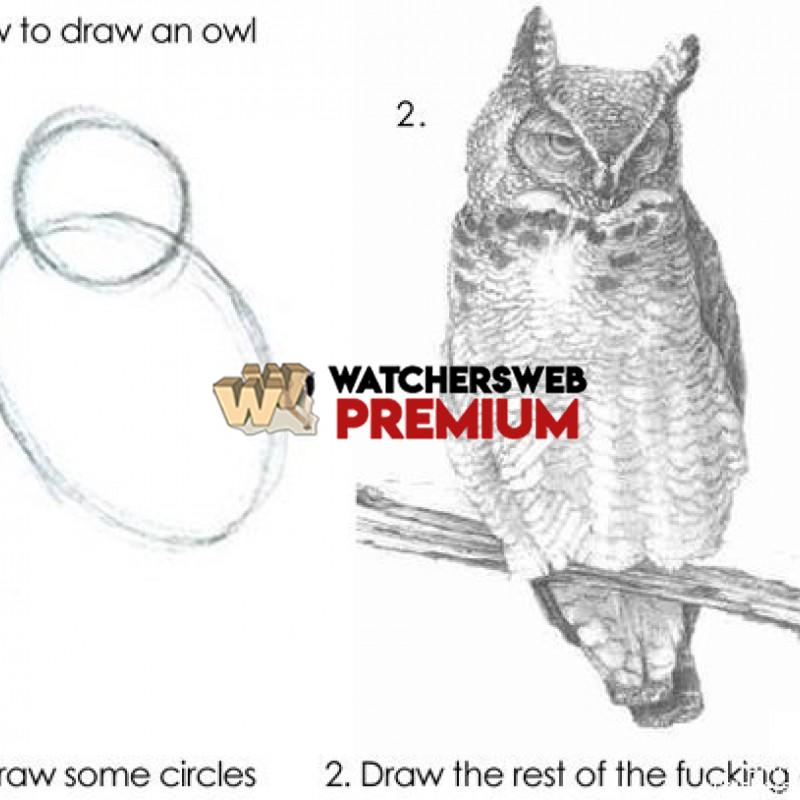 How To Draw An Owl - p - Jermaine