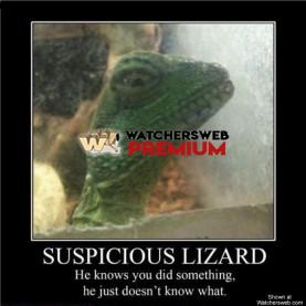 Suspicious Lizard - p - Jermaine