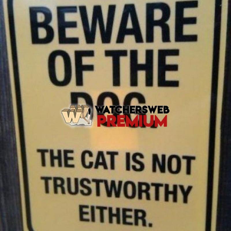 Beware Of Dog - p - Jermaine