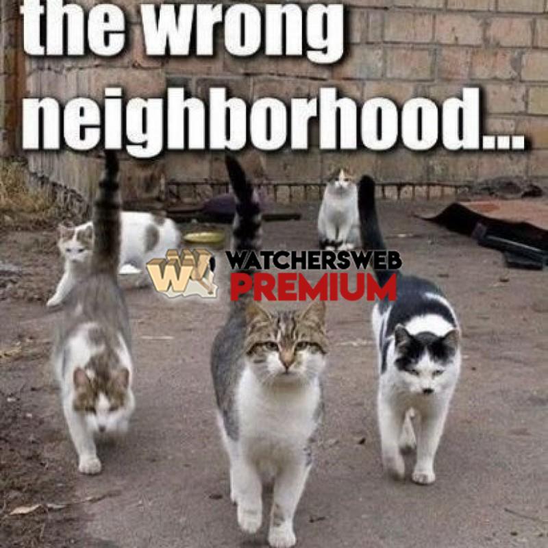 Wrong Neighborhood - p - Jermaine