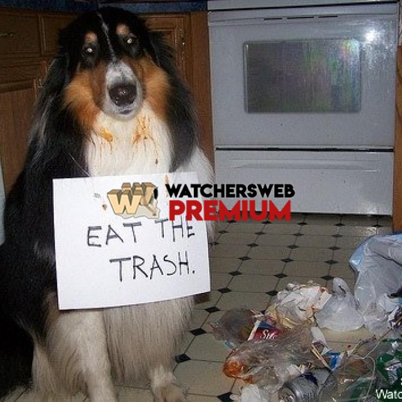 I Eat Trash - p - Jermaine