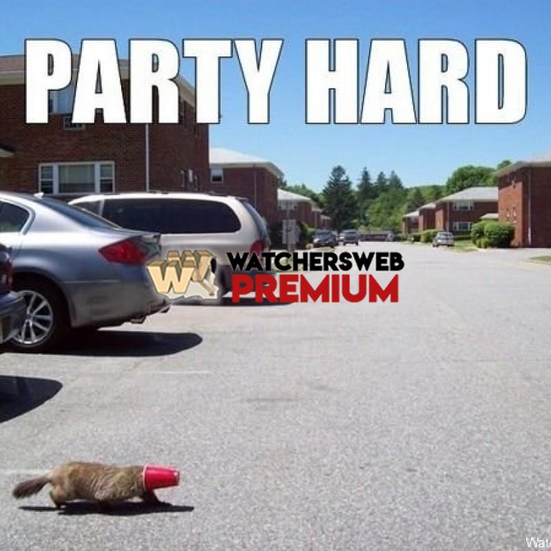 Party Hard - p - Jermaine