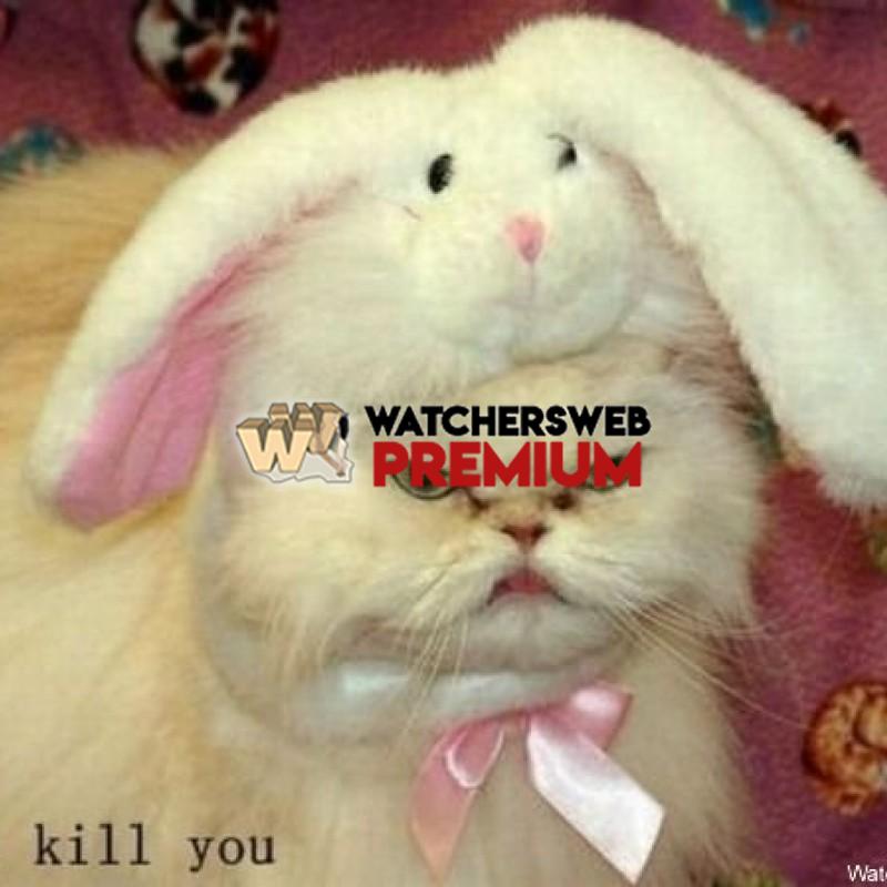 Nice Kitty - p - Jermaine