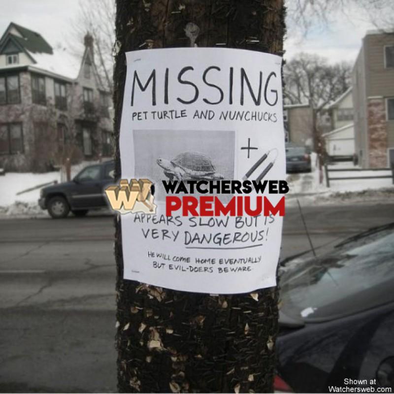 Missing - p - Jermaine