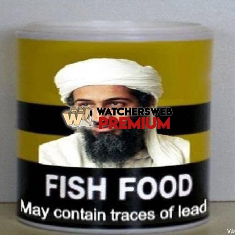 Fish Food - p - Jermaine