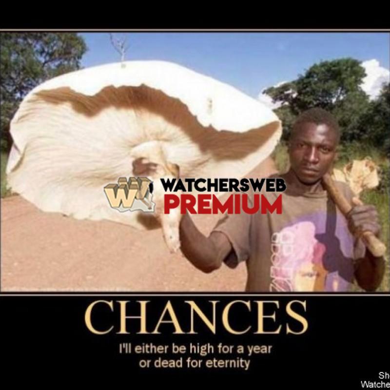 Chances - p - Jermaine