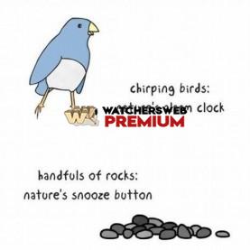 Nature's Alarm Clock - c - Jermaine