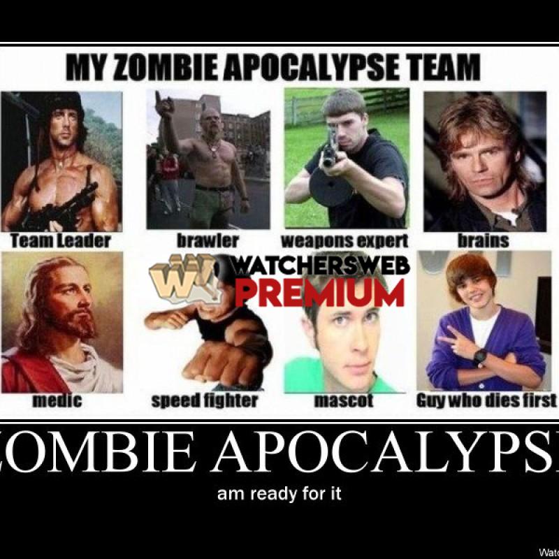 Zombie Apocalypse 3 - p - Stone - Holland