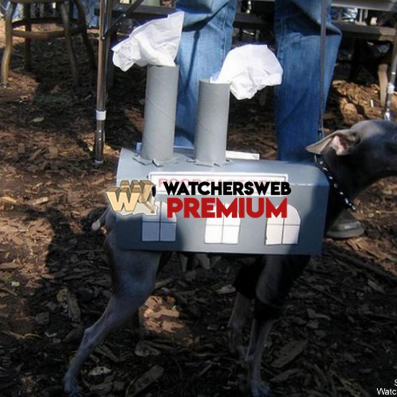 Poop Factory - p - Jermaine