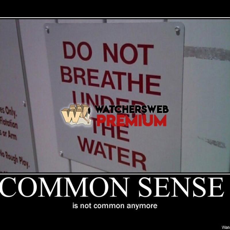 Common Sense - p - Stone - Holland