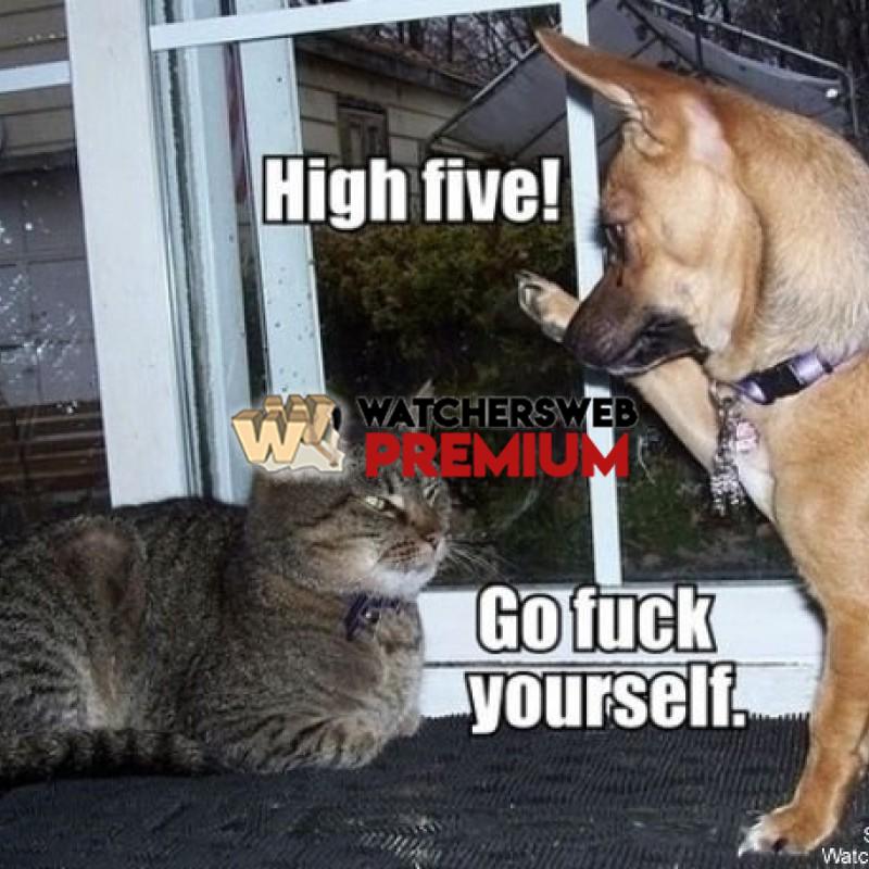 High Five - p - Jermaine