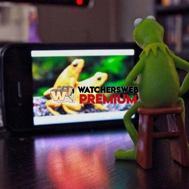 Froggy Porn - p - Jermaine