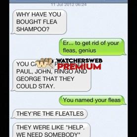 Dog Texting Owner #18 - c - Don - Australia