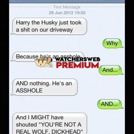 Dog Texting Owner #19 - c - Don - Australia