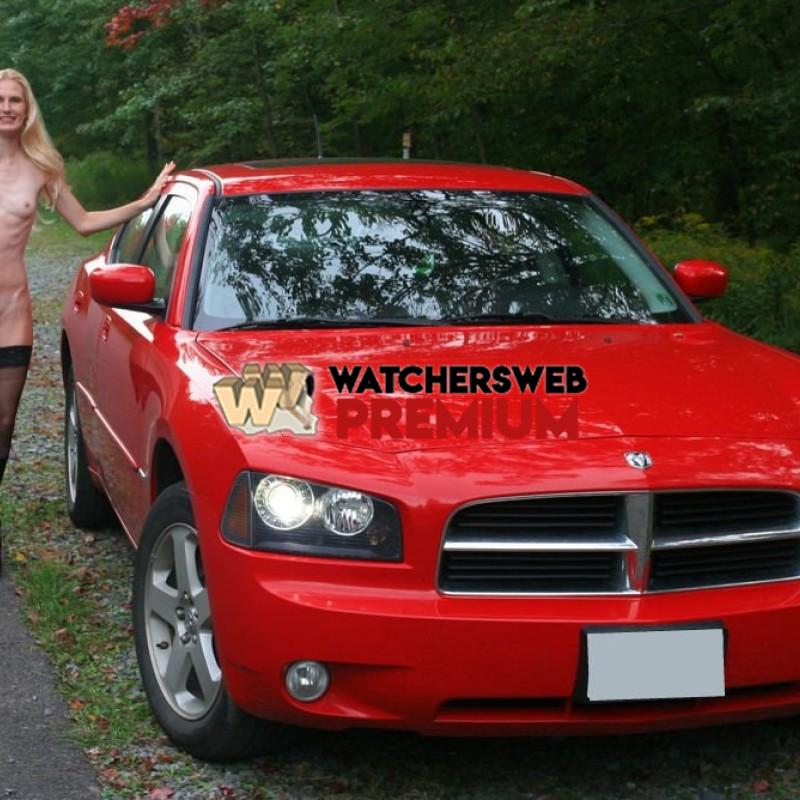 Cupids Arrow ~ Forest Stroll - United States