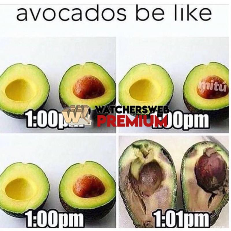 Avocados - p - Monique, QLD - Australia