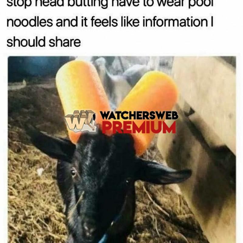 Naughty Goats - p - Monique, QLD - Australia