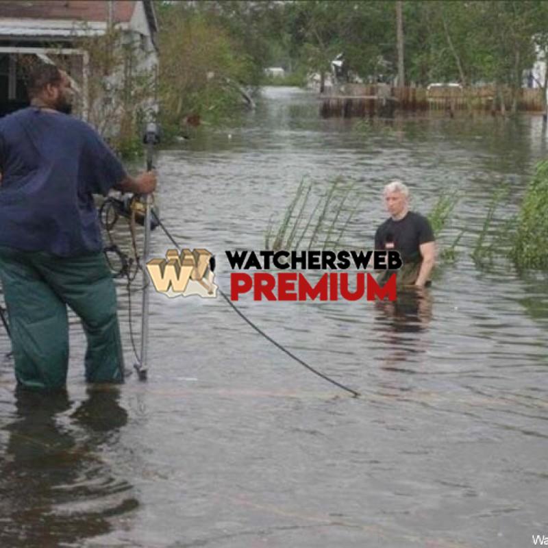 Meanwhile in Florida - p - Monique, QLD - Australia