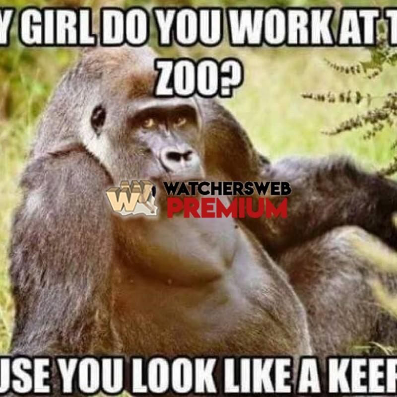 Do You Work At The Zoo? - p - Monique, QLD - Australia